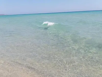 Paesaggio naturale nelle vicinanze della casa vacanze