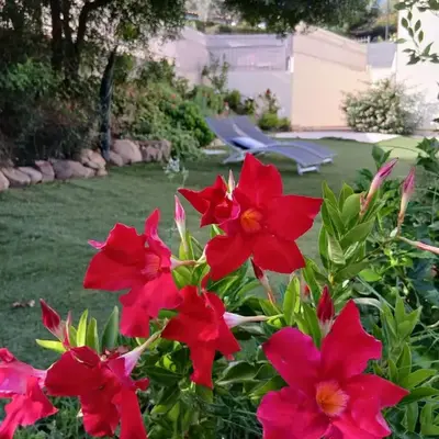 Villa con vista mare - Costa Rei
