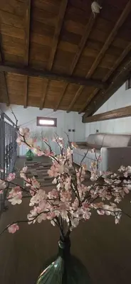 Planimetria di Sisters' House