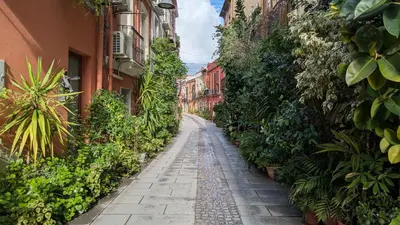 Il quartiere o una zona nella vicinanze dell'appartamento