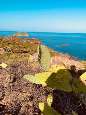 Paesaggio naturale nelle vicinanze dell'appartamento