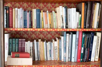 Biblioteca nell'appartamento