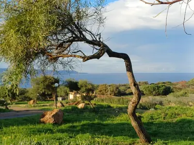 Paesaggio naturale nelle vicinanze della casa vacanze