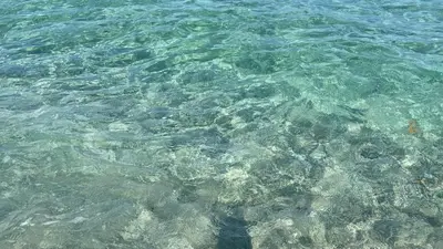 Paesaggio naturale nelle vicinanze dell'appartamento