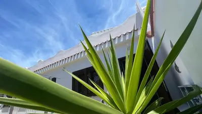 Planimetria di CasaAnita