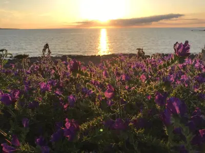 Paesaggio naturale nelle vicinanze della casa vacanze