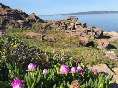 Paesaggio naturale nelle vicinanze della casa vacanze