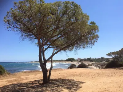 Paesaggio naturale nelle vicinanze della casa vacanze