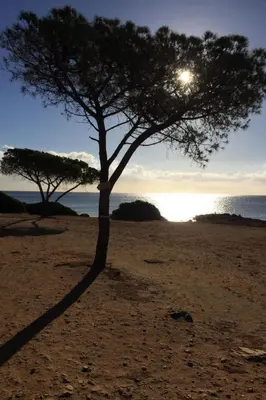 Paesaggio naturale nelle vicinanze della casa vacanze