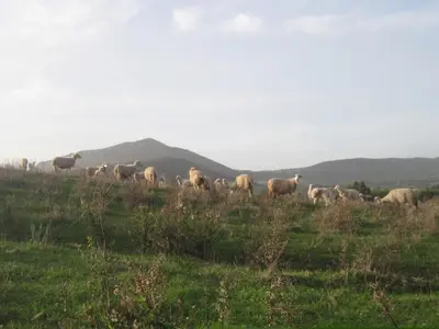 Paesaggio naturale nelle vicinanze della casa vacanze