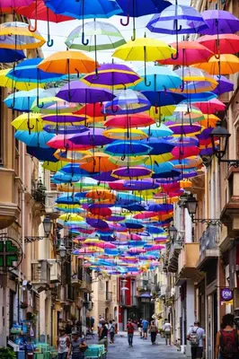 Il quartiere o una zona nella vicinanze dell'appartamento