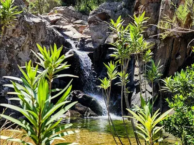Paesaggio naturale nelle vicinanze dell'appartamento