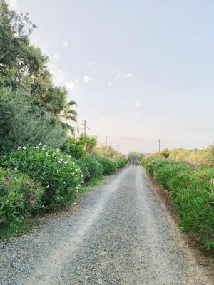 Paesaggio naturale nelle vicinanze della villa