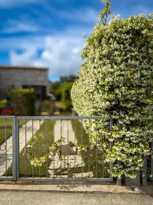 Giardino di Home Nicola Jago
