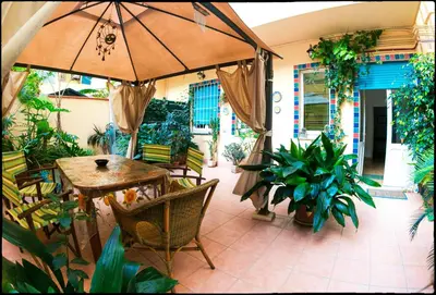 Patio o area all'aperto di B&B Livingstone