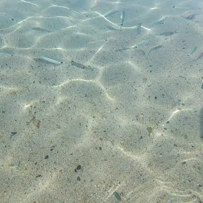 Paesaggio naturale nelle vicinanze della casa vacanze