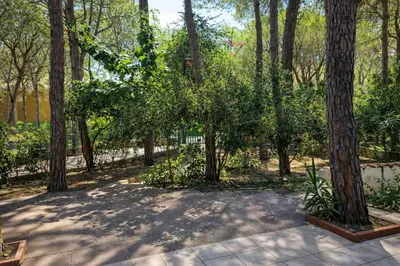 Giardino di EasyFlatSardinia - Coral House Premium - Pinus Village