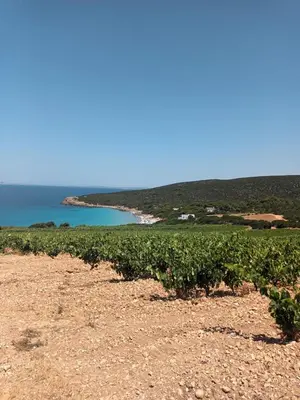 Paesaggio naturale nelle vicinanze della casa vacanze