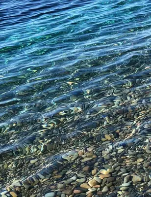 Paesaggio naturale nelle vicinanze dell'appartamento