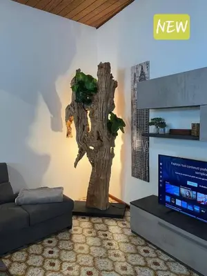 TV o dispositivi per l'intrattenimento presso Home Bellavista