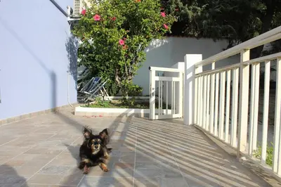 Ospiti di Casa Vacanze Zia Mimmia con animali domestici