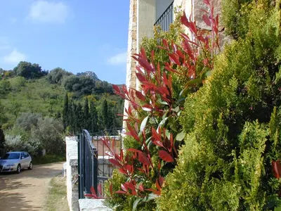 Paesaggio naturale nelle vicinanze dell'appartamento