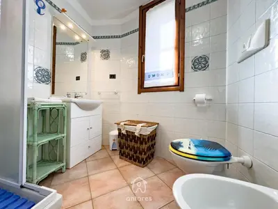 Bagno di Domu Cycas