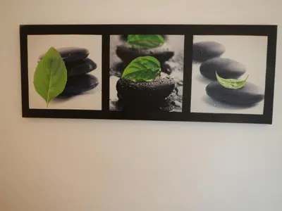 Planimetria di spartiventohome