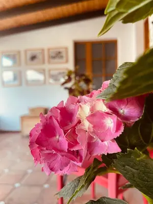 Planimetria di Arega Rooms