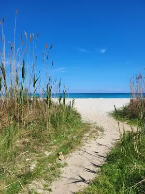 Paesaggio naturale nelle vicinanze dell'appartamento