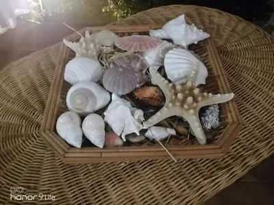 Cibo presso la casa vacanze o nelle vicinanze