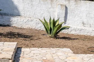 Planimetria di Segni Holiday Home