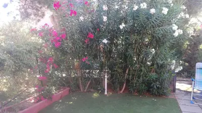 Giardino di Villa Gabriella
