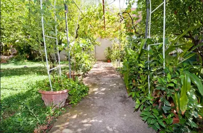 Giardino di B&B Casa Rosino