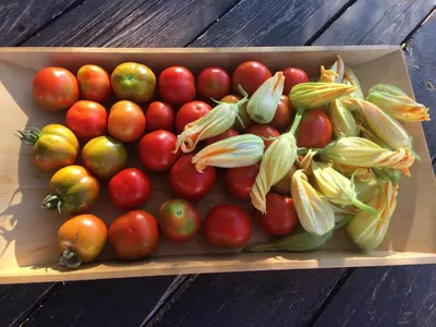 Cibo presso l'agriturismo o nelle vicinanze