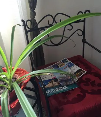 Letto o letti in una camera di Bellini