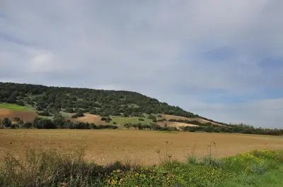 Paesaggio naturale nelle vicinanze dell'agriturismo