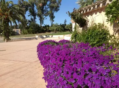 Giardino di Baia Delle Palme Beach