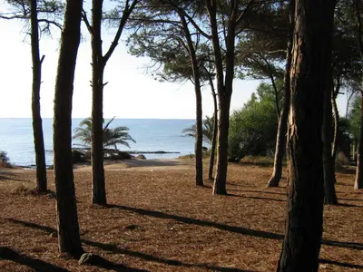 Paesaggio naturale nelle vicinanze dell'aparthotel