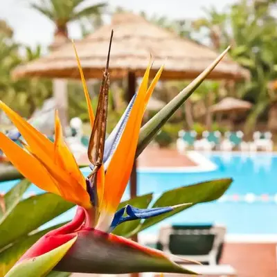 Baia Delle Palme Beach