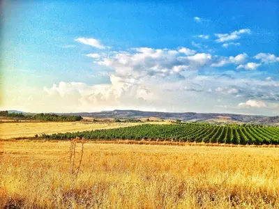 Paesaggio naturale nelle vicinanze dell'agriturismo