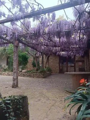 Giardino di Agriturismo Furfullanu