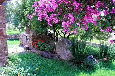 Giardino di House Suestellas