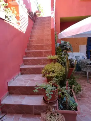 Giardino di Il Pozzo Dei Desideri