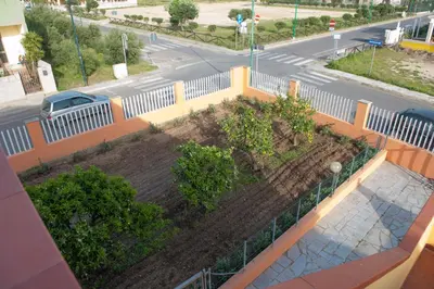 Planimetria di Lemon Apartments