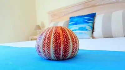 Letto o letti in una camera di Brezza Marina Luxury Rooms