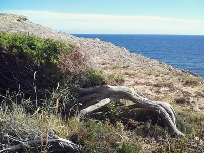 Paesaggio naturale nelle vicinanze del bed & breakfast
