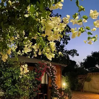 B&B Il Girasole