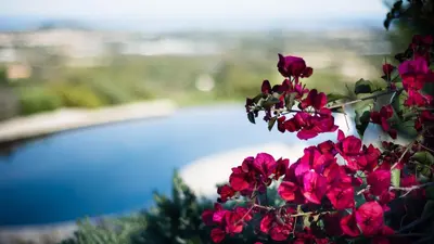 Paesaggio naturale nelle vicinanze del bed & breakfast