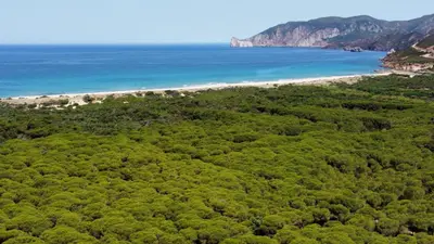 Paesaggio naturale nelle vicinanze dell'appartamento